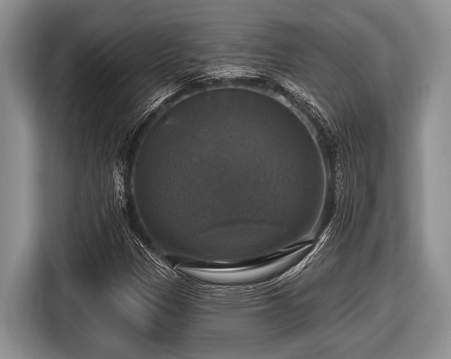 X0000116451305200912151252