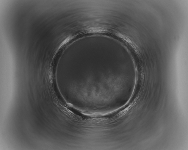 X0000116451306200912151252