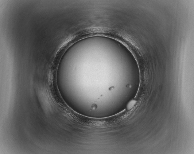 X0000116451309200912151252