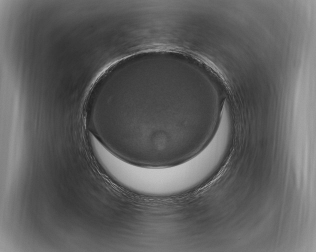 X0000116451310200912151252