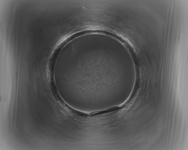 X0000116451311200912151252