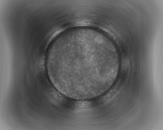 X0000116451314200912151252