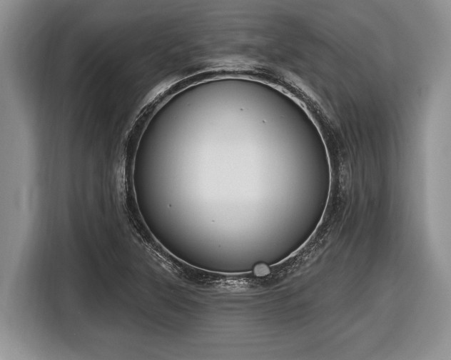 X0000116451315200912151252