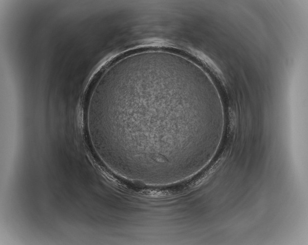 X0000116451318200912151252