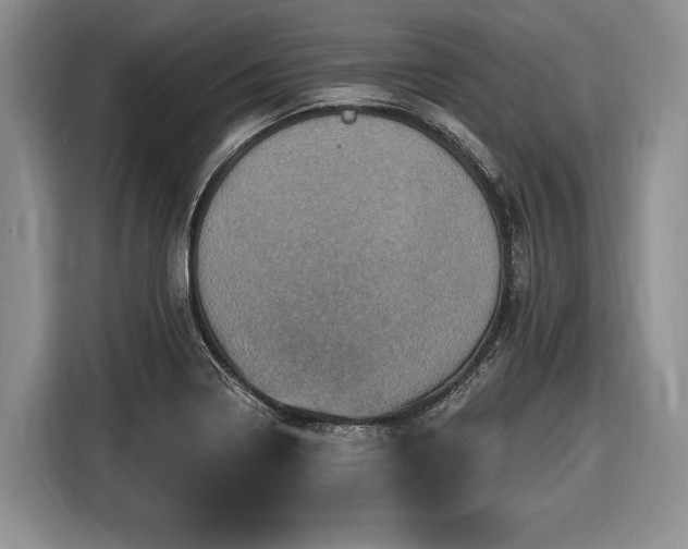 X0000116451322200912151252
