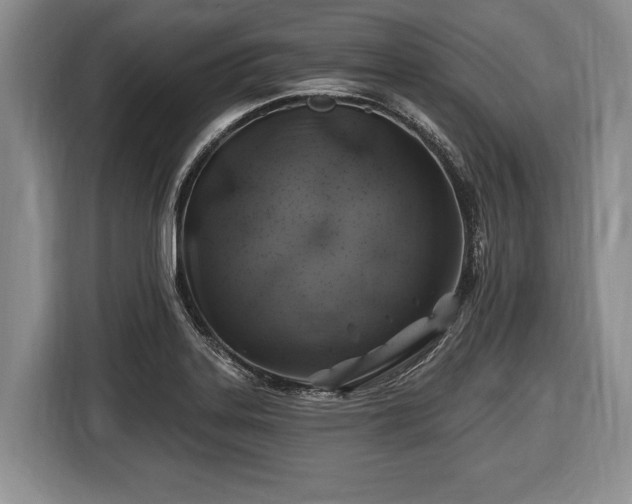 X0000116451323200912151252