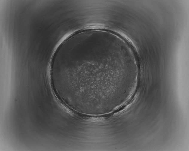 X0000116451325200912151252