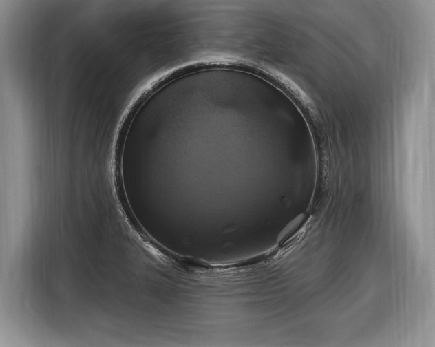 X0000116451327200912151252