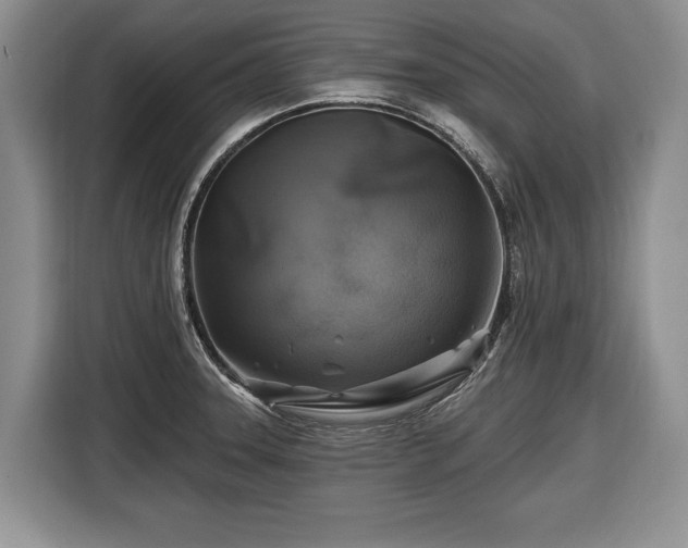 X0000116451331200912151252