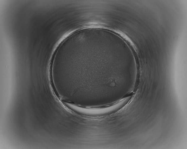 X0000116451333200912151252