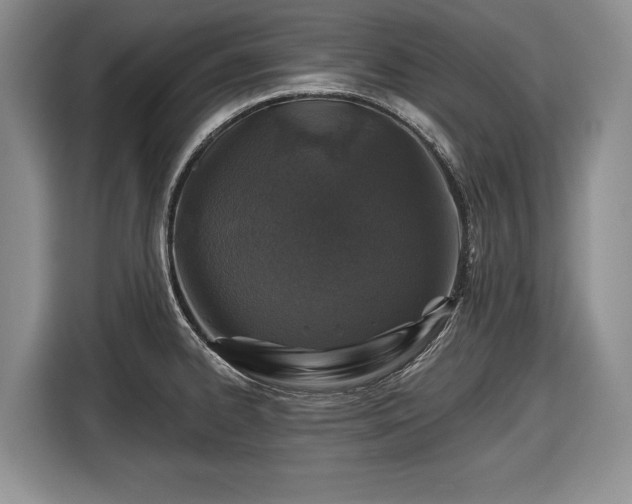 X0000116451334200912151252