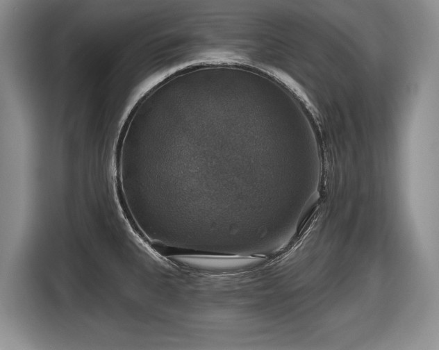 X0000116451335200912151252