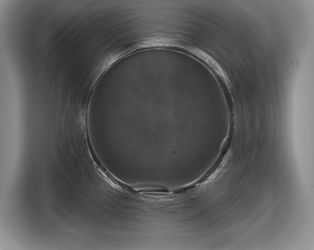 X0000116451337200912151252