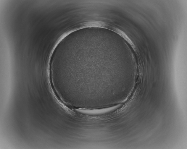 X0000116451339200912151252
