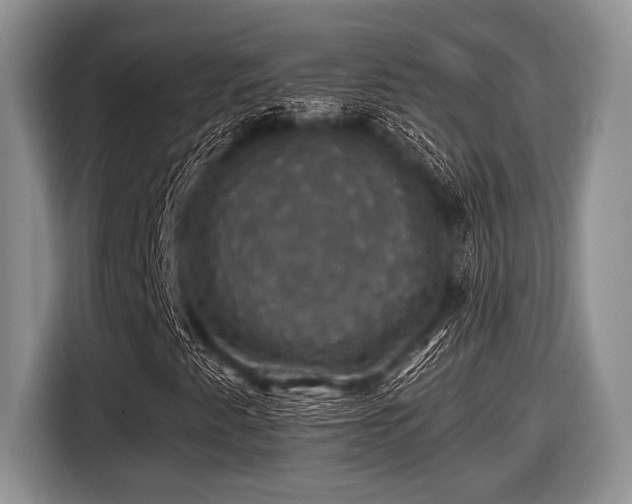 X0000116451345200912151252