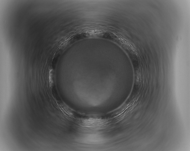 X0000116451346200912151252