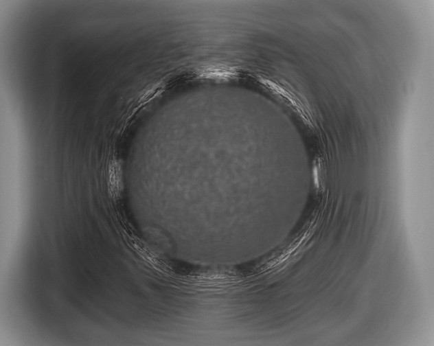 X0000116451347200912151252