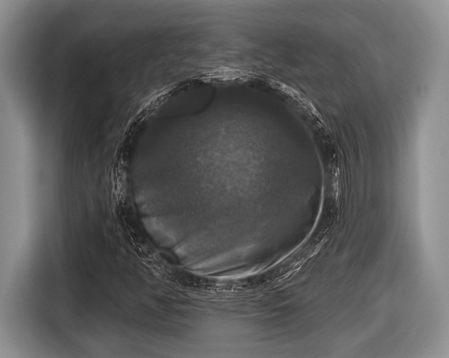 X0000116451350200912151252