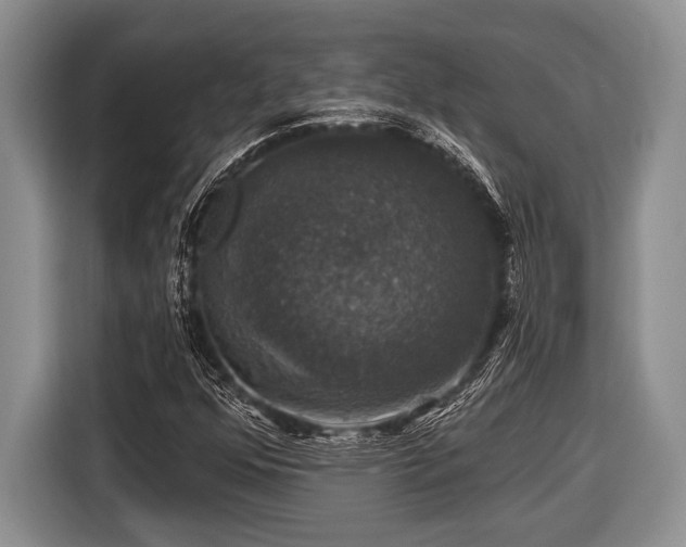 X0000116451352200912151252