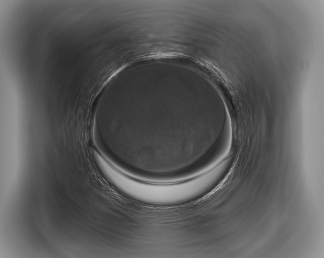 X0000116451353200912151252