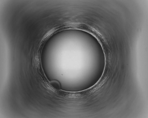 X0000116451354200912151252