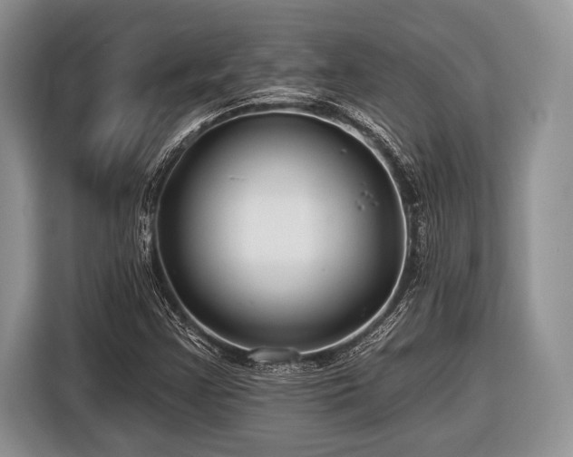 X0000116451355200912151252