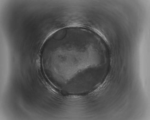 X0000116451356200912151252