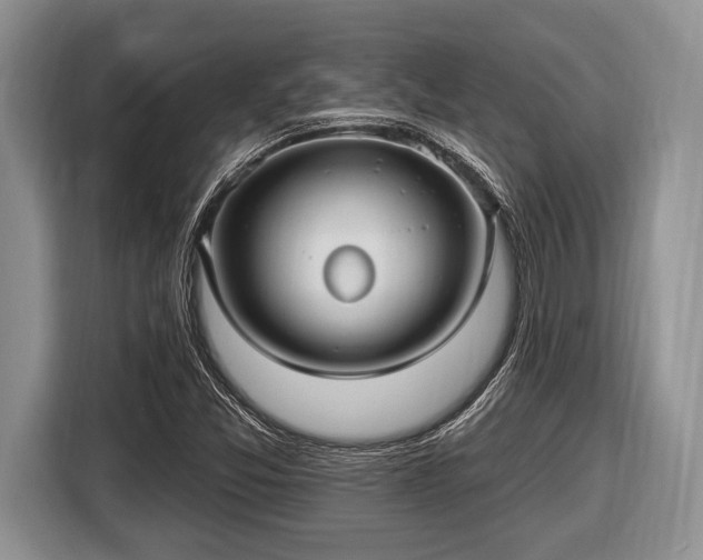 X0000116451357200912151252