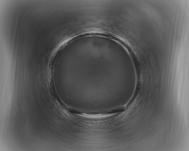 X0000116451359200912151252