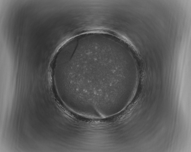 X0000116451360200912151252