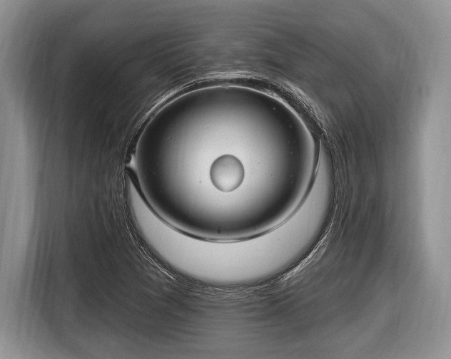 X0000116451361200912151252