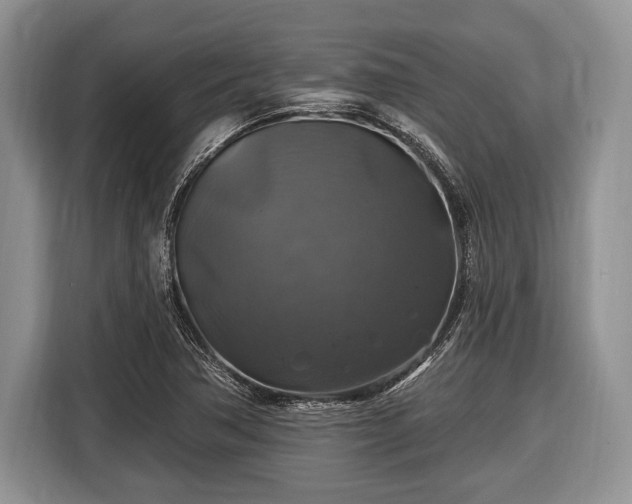 X0000116451362200912151252