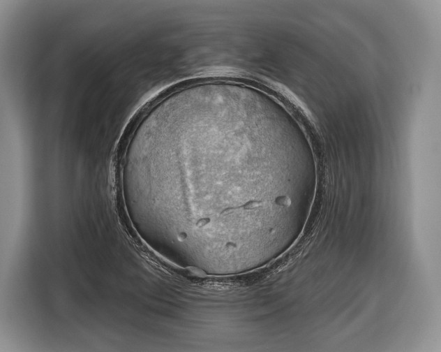 X0000116451364200912151252