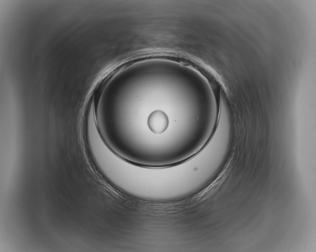 X0000116451365200912151252