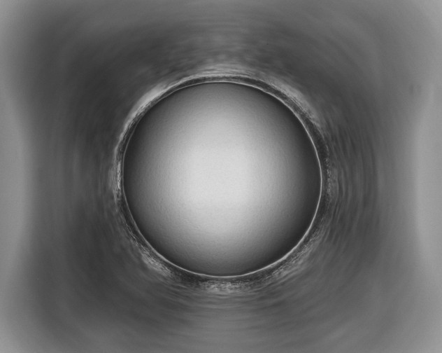 X0000116451366200912151251