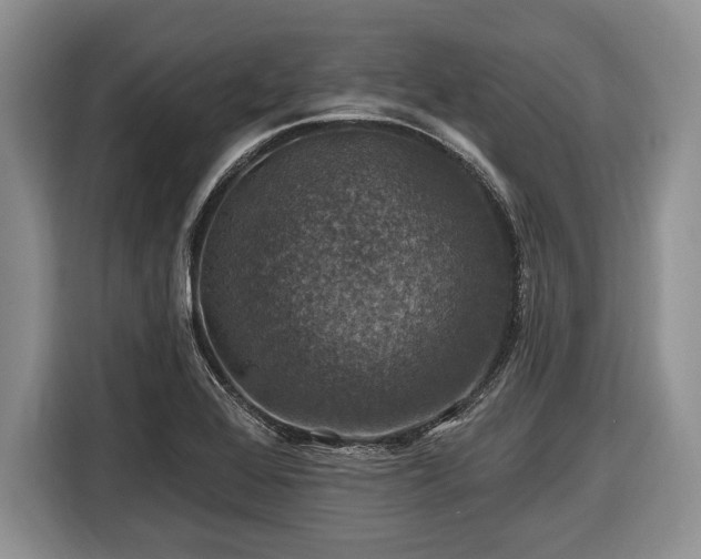 X0000116451368200912151251