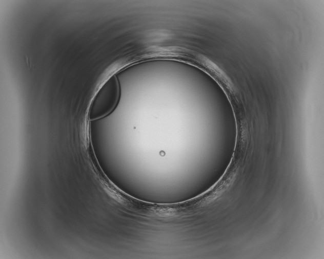 X0000116451370200912151251