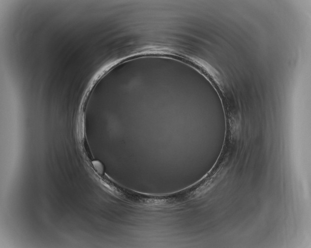 X0000116451371200912151251