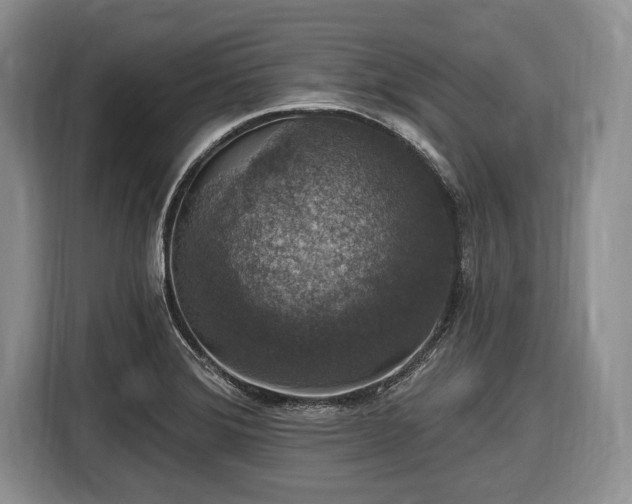 X0000116451372200912151251