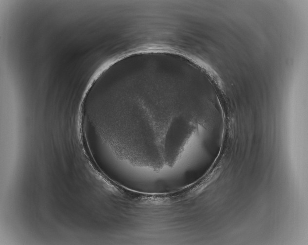 X0000116451374200912151251