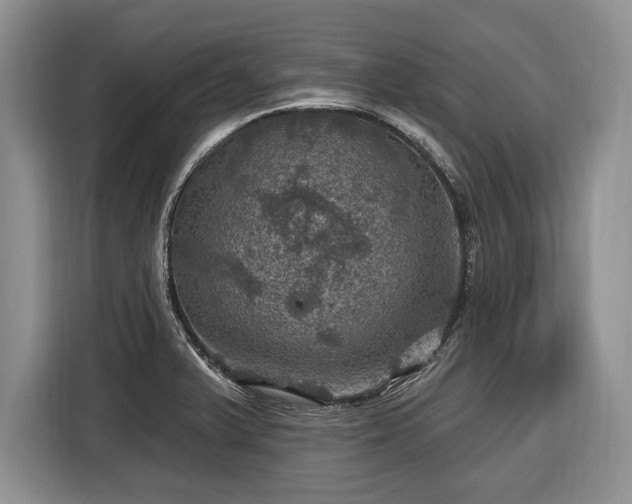 X0000116451375200912151251