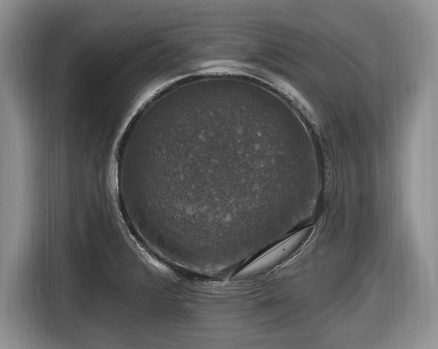 X0000116451376200912151251