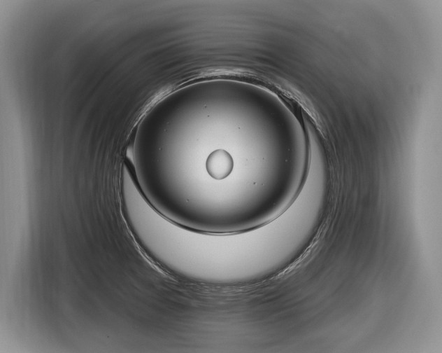 X0000116451377200912151251