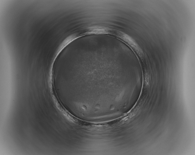 X0000116451378200912151251