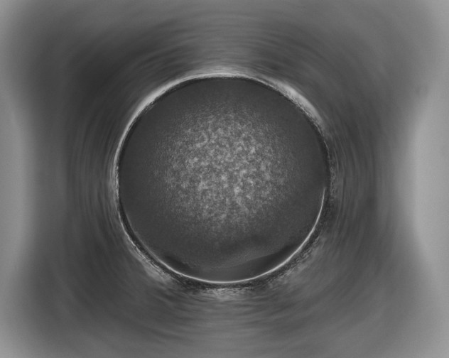 X0000116451380200912151251