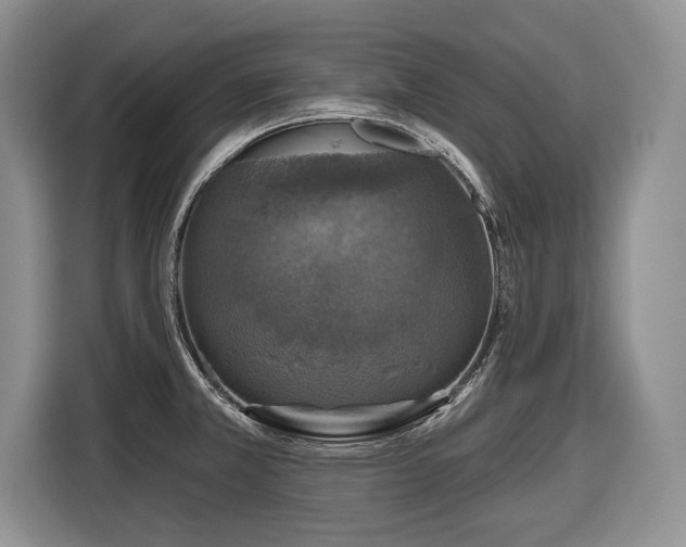 X0000116451381200912151251