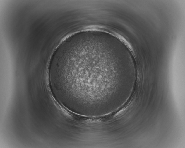 X0000116451384200912151251