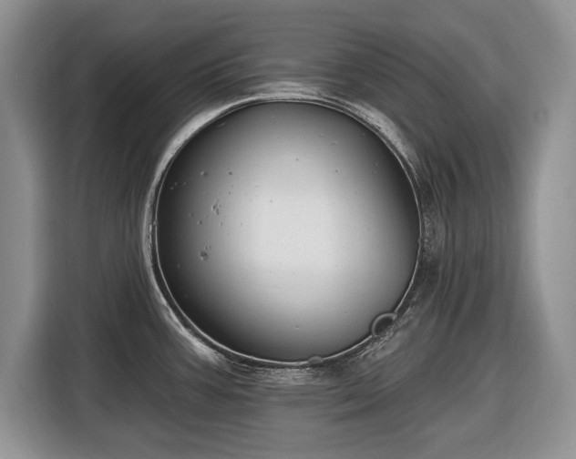X0000116451387200912151251