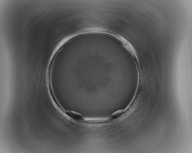 X0000116451389200912151251