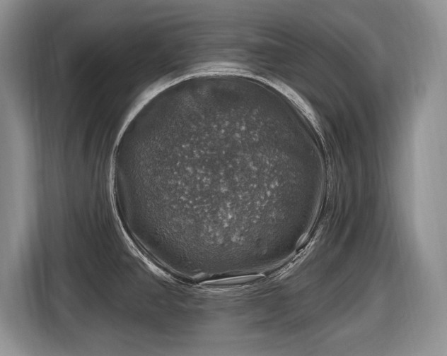 X0000116451390200912151251